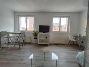 Bel appartement avec micro ext et parking privé